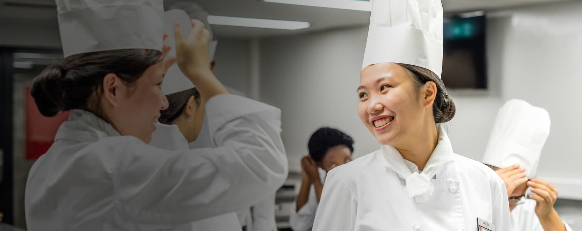 types of culinary degrees, culinary degree types, colleges that offer bachelor's degree in culinary arts, bachelors in culinary arts online, culinary and business degree, culinary business degree