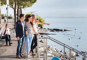 How to Make a Roux: Types, Uses and Recipes