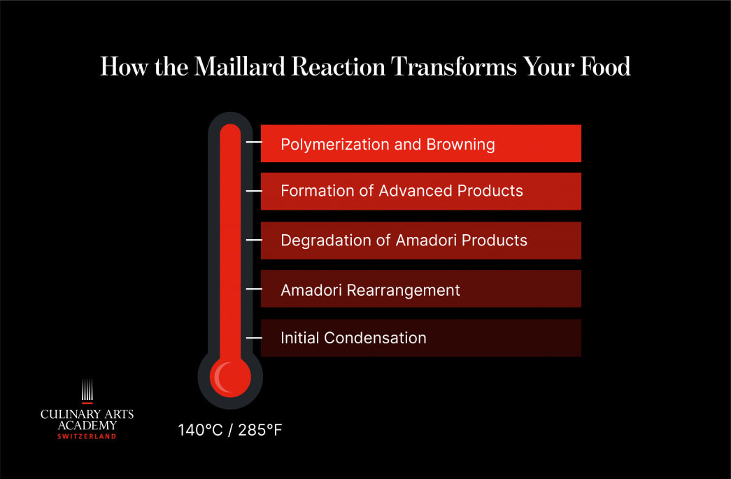 What Is the Maillard Reaction? The Science of Flavor
